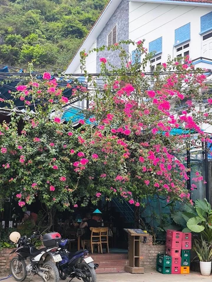 Phong Nha Jasmine Hostel & Roof Top Bar Luaran gambar